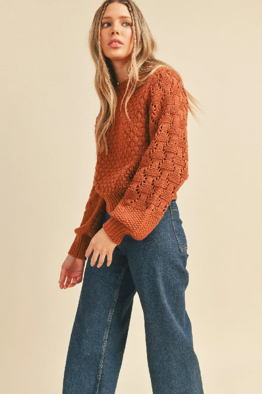 Brick Brown Mixed Pointelle Puff Sleeve Sweater